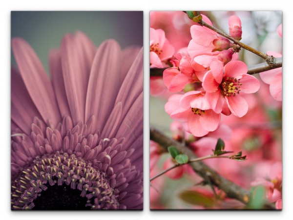 2 Bilder je 60x90cm Blume Kirschblüte Frühling Zweig Dekorativ Duftend Entspannend