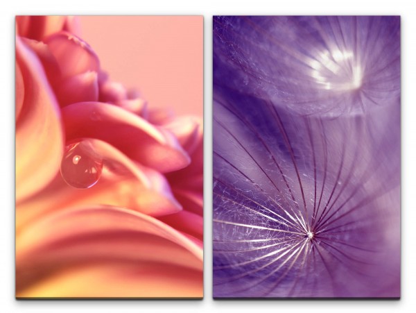 2 Bilder je 60x90cm Wassertropfen Blumen Blüte Pusteblume Sommer Meditation Leicht