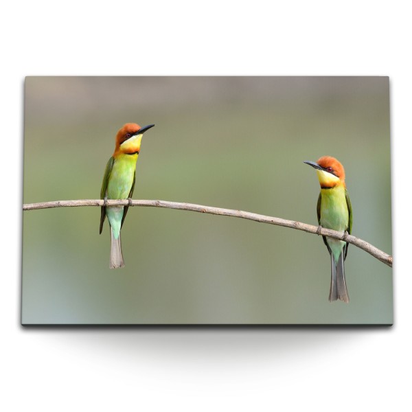 120x80cm Wandbild auf Leinwand Zwei kleine Vögel auf Ast Tierfotografie Natur