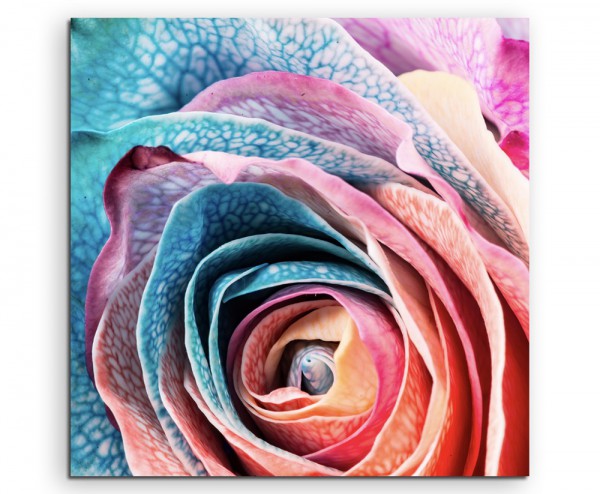 Künstlerische Fotografie – Blau eingefärbte Rose auf Leinwand