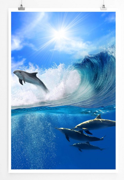 60x90cm Tierfotografie Poster Schwimmende Delfine im Meer