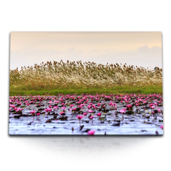 120x80cm Wandbild auf Leinwand Teich See Wasserpflanzen Natur Lotus Wasserblumen