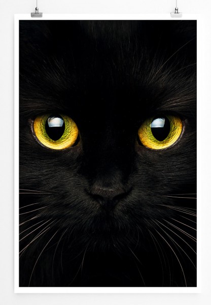 Tierfotografie  Schwarze Katze mit strahlend gelben Augen 60x90cm Poster