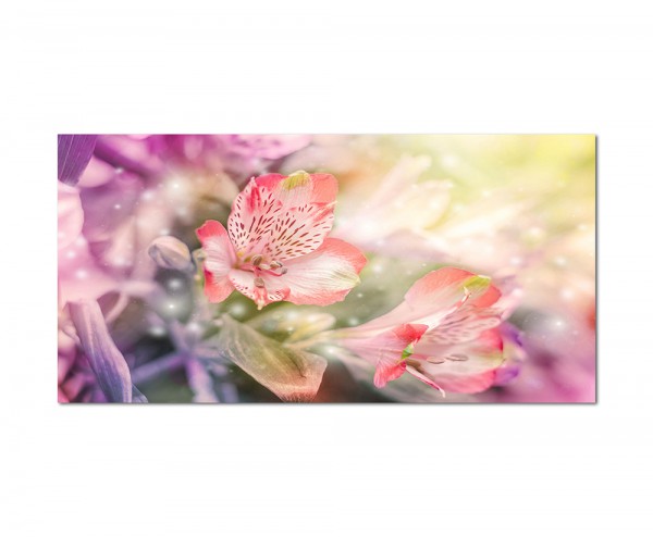 120x80cm Blume Blüte farbenfroh Hintergrund