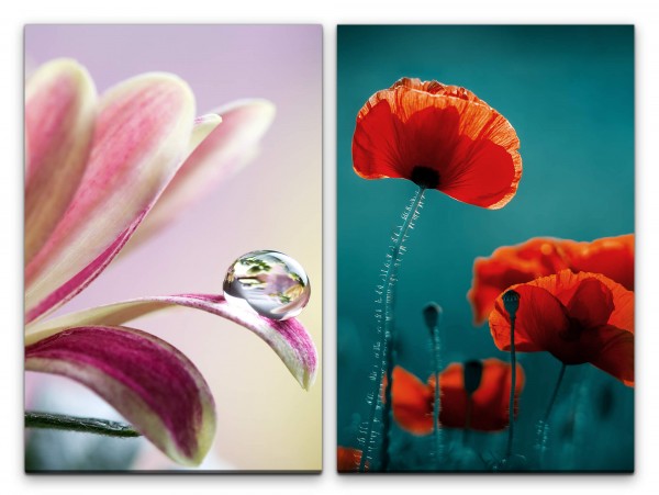 2 Bilder je 60x90cm Mohnblume Tropfen Blüten Blumen Rot Grün Nahaufnahme