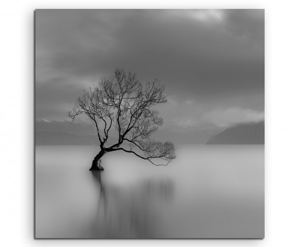 Landschaftsfotografie – Einsamer Baum am Wanaka See, Neuseeland auf Leinwand