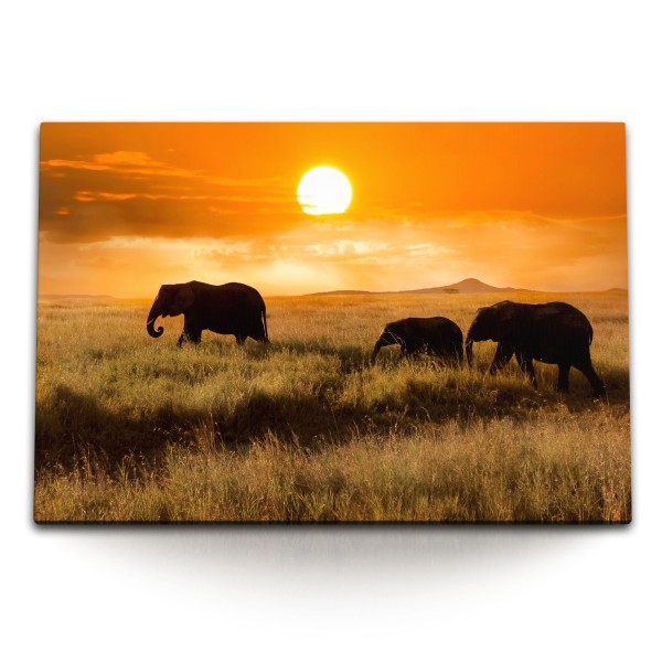 120x80cm Wandbild auf Leinwand Afrikanische Landschaft Elefanten Tierfotografie Safari