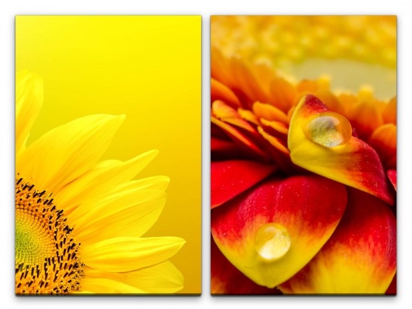 2 Bilder je 60x90cm Sonnenblume Gelb Orange Makro Sommer Sonne Tropfen