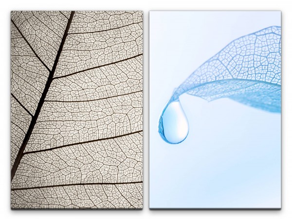 2 Bilder je 60x90cm Blätter Blattstruktur Blattadern Pflanzen Wassertropfen Hellblau Makrofotografie