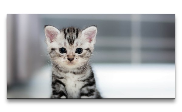 Leinwandbild 120x60cm Süßes Kätzchen Babykatze Niedlich Knuddelig Katze
