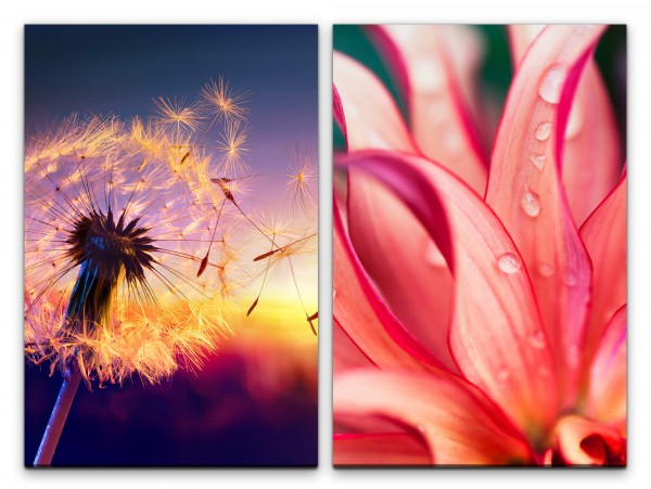 2 Bilder je 60x90cm Pusteblume Orchidee Regentropfen Sonnenuntergang Sommer Sanft Entspannend