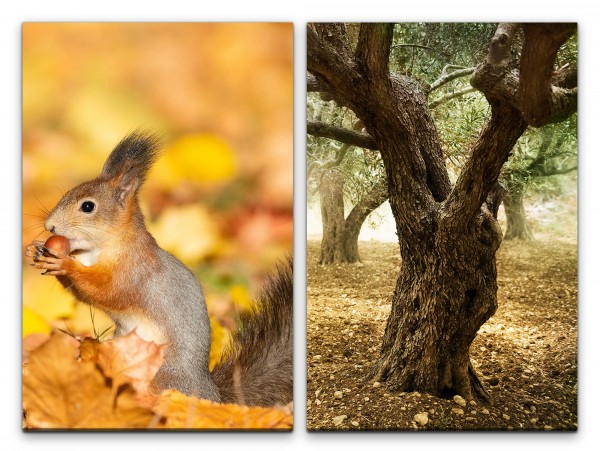 2 Bilder je 60x90cm Eichhörnchen Süß Kuschelig Herbst Laub Baum Friedlich