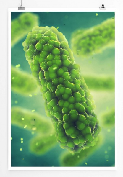 60x90cm Poster Wissenschaftliche Abbildung  Großabbild eines Bakteriums
