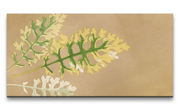 Remaster 120x60cm Botanische Illustration Baumblatt Blatt Grün Natur Dekorativ