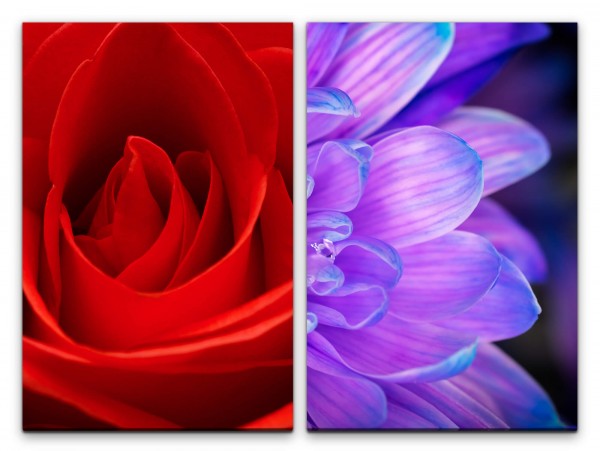 2 Bilder je 60x90cm Rose Blumen Farbenfroh Rot Romantisch Dekorativ Feminin