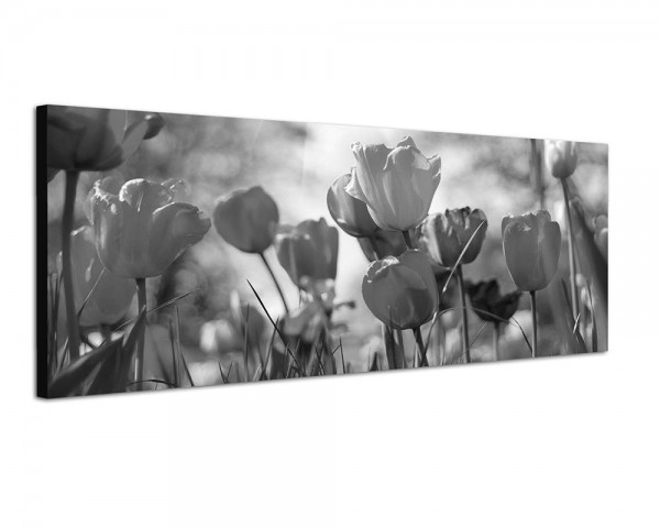 150x50cm Tulpen Frühling Wiese