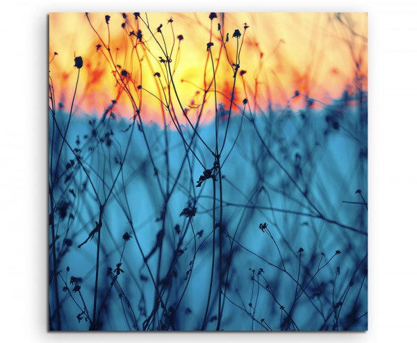 Landschaftsfotografie – Pflanzen bei Sonnenaufgang auf Leinwand