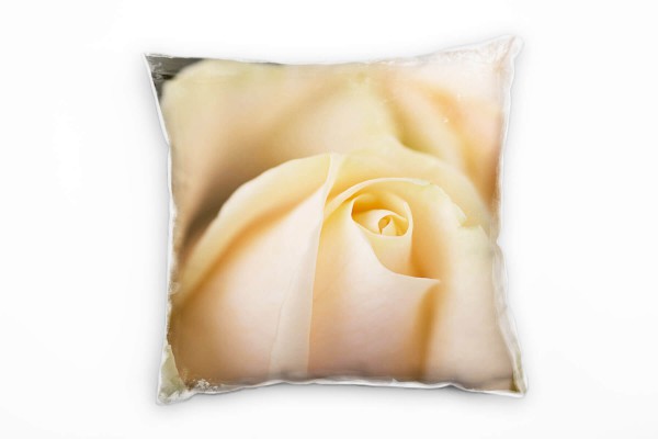 Macro, Blumen, Rose, orange Deko Kissen 40x40cm für Couch Sofa Lounge Zierkissen