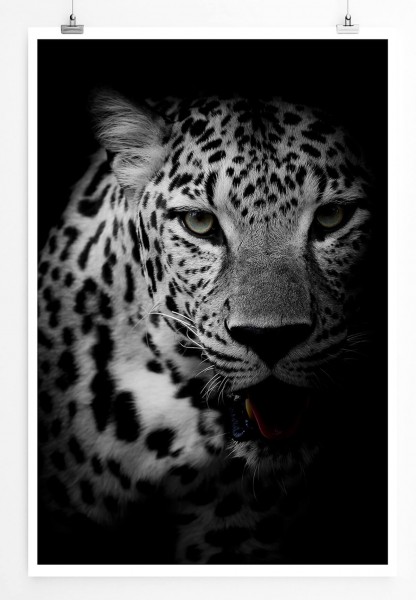 Tierfotografie 60x90cm Poster Porträt eines Leoparden schwarz weiß
