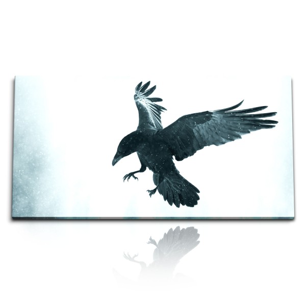 Kunstdruck Bilder 120x60cm Rabe schwarzer Vogel weißer Hintergrund