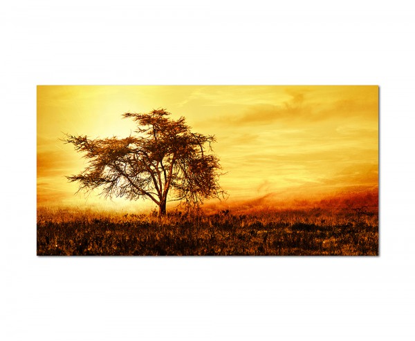 120x60cm Afrika Baum Landschaft Sonnenuntergang