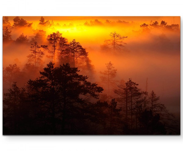 Sonnenaufgang über dem Wald  warme Farben - Leinwandbild