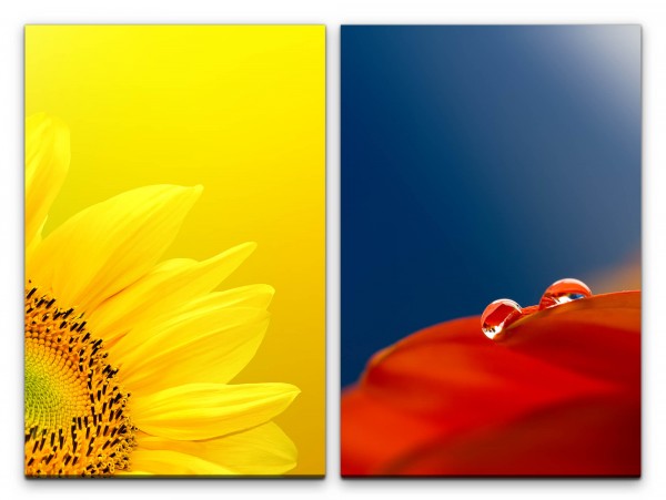 2 Bilder je 60x90cm Sonnenblume Gelb Rot Tropfen Makro Frisch Blumen