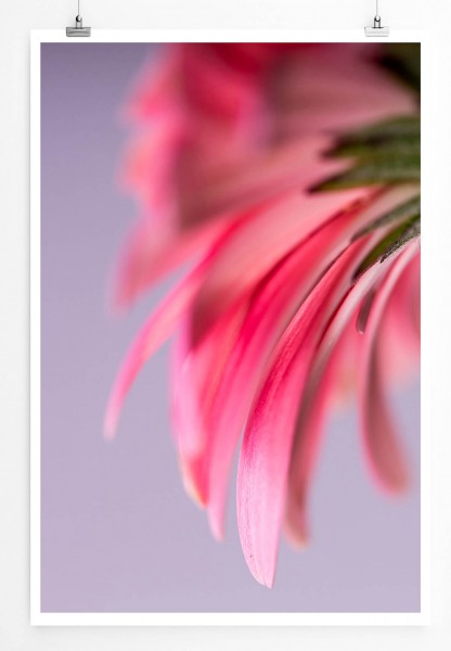 Naturfotografie 60x90cm Poster Pinke Blüte