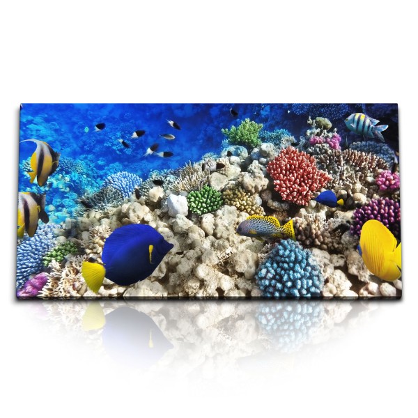 Kunstdruck Bilder 120x60cm Unterwasserfotografie Korallenriff Korallen bunte Fische