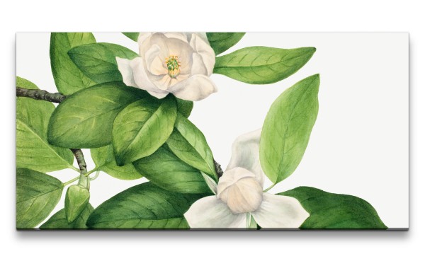 Remaster 120x60cm Botanische Zeichnung Vintage Illustration Baumblüten Frühling