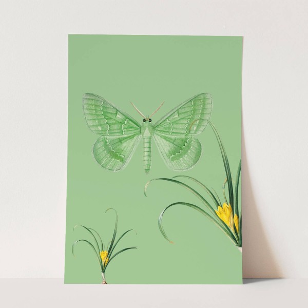 Wandbild Schmetterling Grün Blume Grashalme exklusives Design