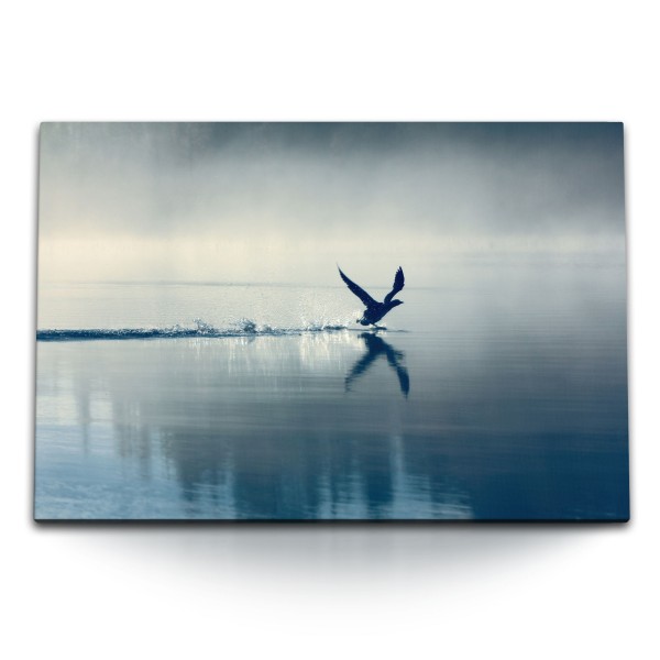 120x80cm Wandbild auf Leinwand Ente im Anflug See Nebel Morgentau Natur