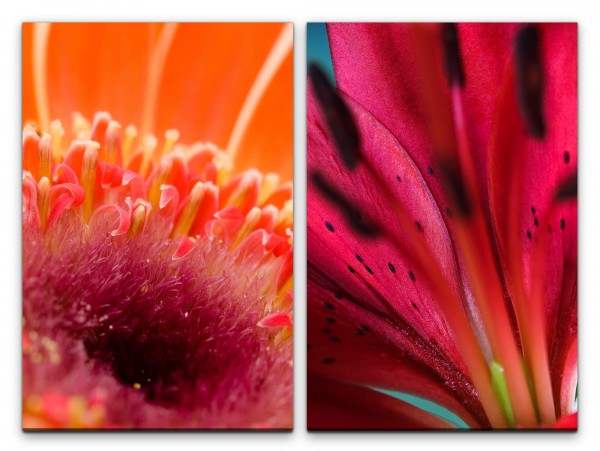 2 Bilder je 60x90cm Blüten Blumen Rot Nektar Sanft Weich Sommer