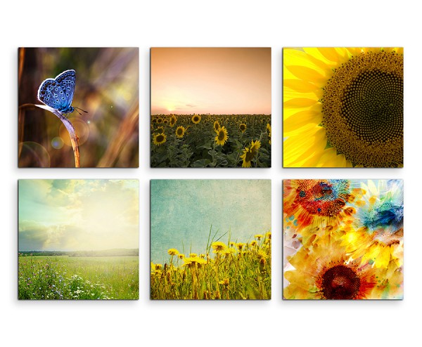 6 teiliges Leinwandbild je 30x30cm - Schmetterling Sonnenblumen Blumenwiese Ölmalerei