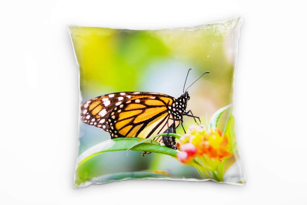 Tiere, Schmetterlinge, Monarchfalter, orange, grün Deko Kissen 40x40cm für Couch Sofa Lounge Zierkis