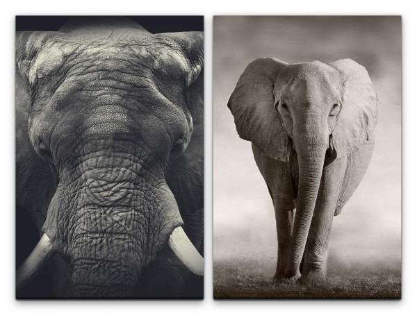 2 Bilder je 60x90cm Afrika Elefant Schwarz Weiß Stoßzähne Natur Sanft Kraftvoll
