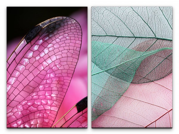 2 Bilder je 60x90cm Libelle Flügel helle Blätter Blattstruktur Kunstvoll Dekorativ Makrofotografie