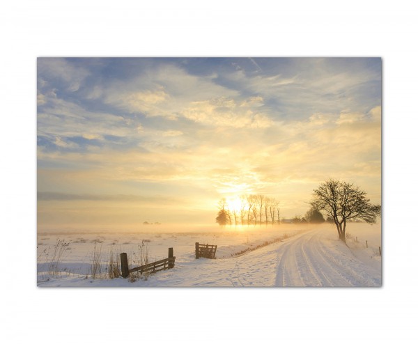 120x80cm Winterlandschaft Nebel Schnee Sonne