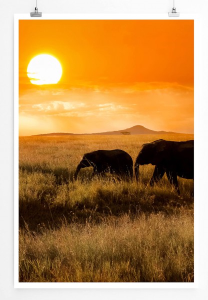 60x90cm Poster Landschaftsfotografie  Elefantenfamilie