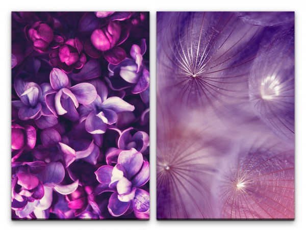 2 Bilder je 60x90cm Orchideen Blüten Pusteblume Duftend Sanft Weich Schön