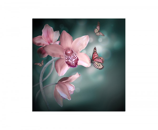 80x80cm Orchidee Schmetterlinge Blüte