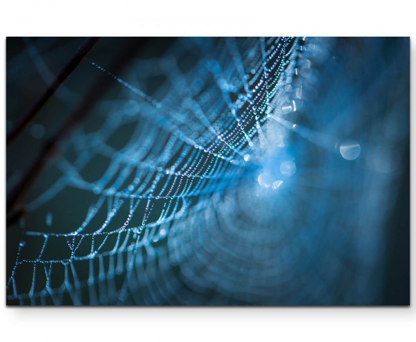 Spinnennetz am Morgen, Nahaufnahme - Leinwandbild