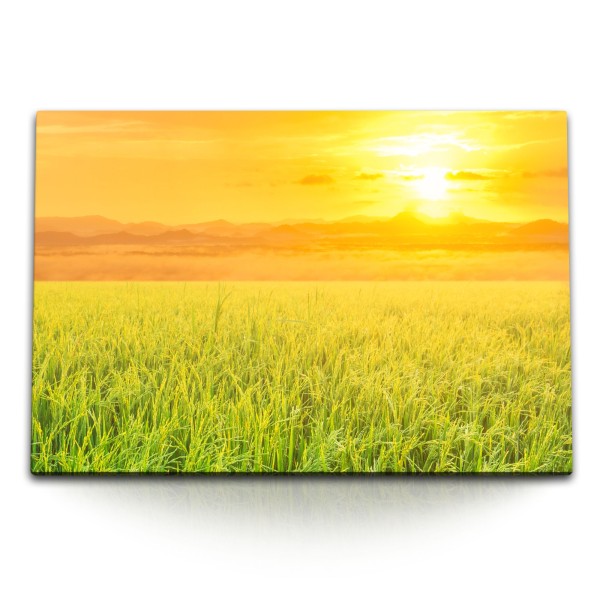120x80cm Wandbild auf Leinwand Weizen Weizenfeld Sommer Sonne Sonnenuntergang