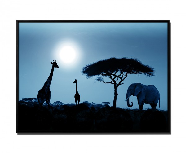 105x75cm Leinwandbild Petrol Sonnenuntergang Elefant und Giraffen Afrika