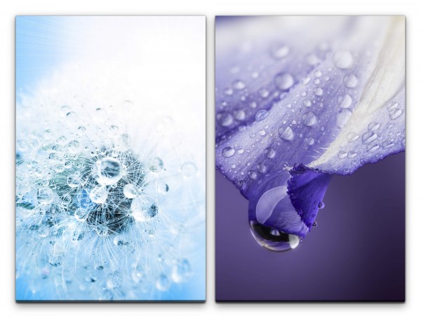 2 Bilder je 60x90cm Orchidee Wassertropfen Wasserperlen Blau Blüte Nahaufnahme Makro