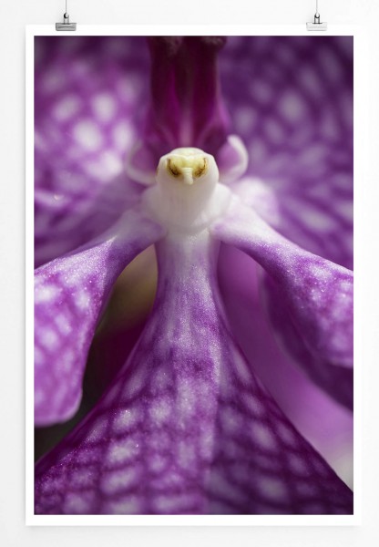 60x90cm Naturfotografie Poster Lila Orchidee in Vogelform