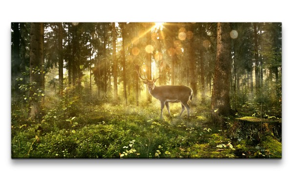Leinwandbild 120x60cm Wald Natur Sonnenstrahlen Hirsch Lichtstrahlen Friedlich