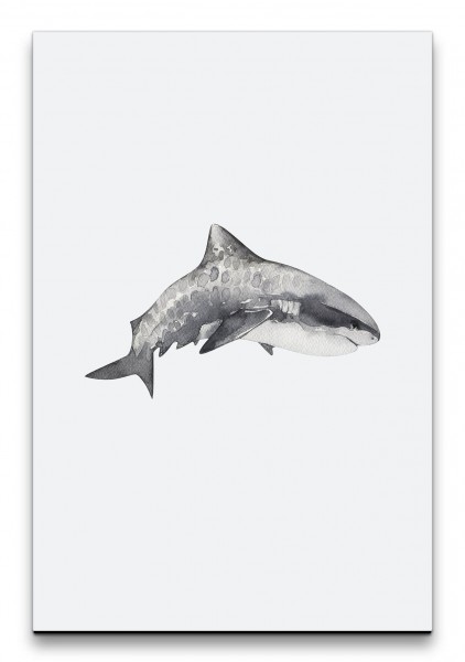 Hai Fisch Ozean Wasserfarben Aquarell Grau Modern Minimal