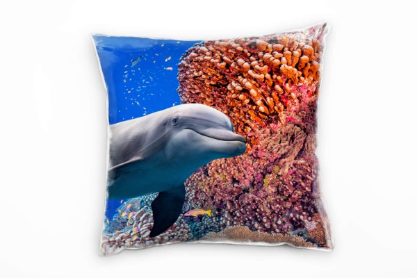 Tiere, Delfin, Korallenriff, Unterwasser, bunt Deko Kissen 40x40cm für Couch Sofa Lounge Zierkissen