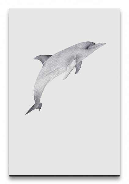 Delfin Wasserfarben Grautöne Minimalistisch Modern Kunstvoll